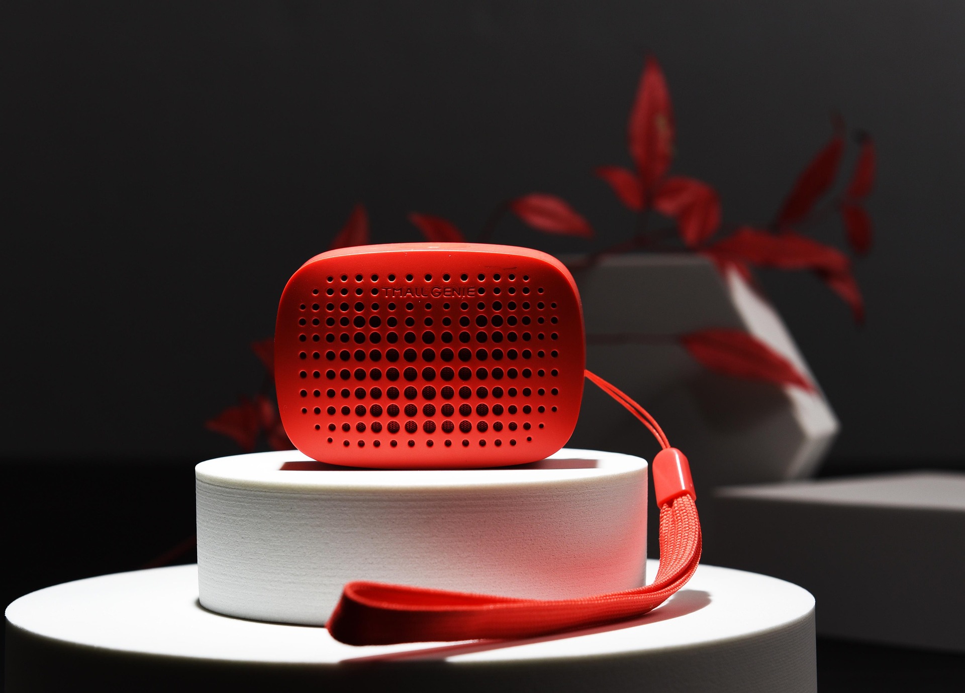 Portable Bluetooth Speaker